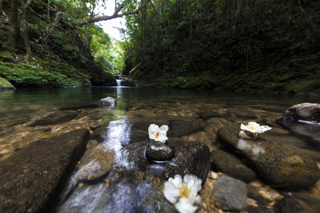 Non[-]thiêng[-]Bạch[-]Mã